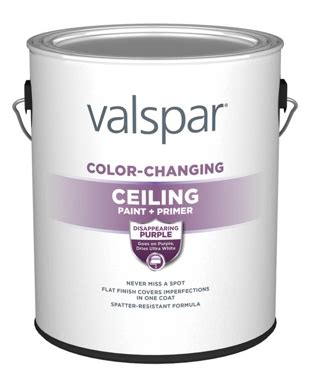 Color-Changing Ceiling Paint | Valspar® Paint