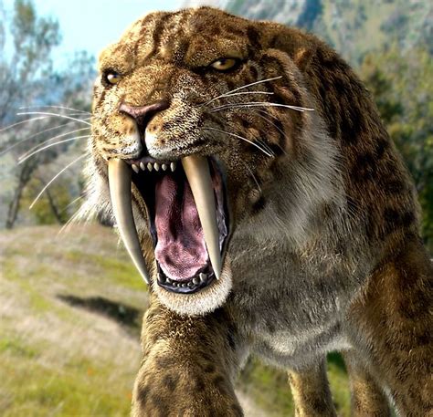 Posts about Saber-toothed tiger; Saber-toothed cat; Smilodon; Stone Age ...