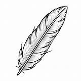 Quill Coloring Pages sketch template