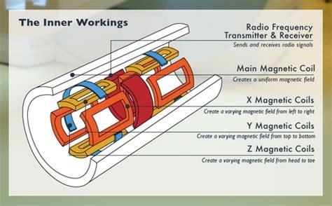 Parts of the machine - MRI Scans