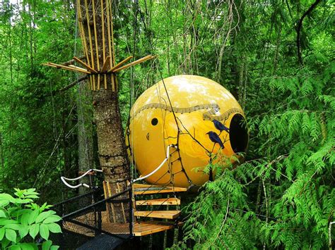 22 Of The Most Secluded Hotels In The World | Unusual hotels, Treehouse hotel, In the tree
