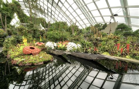 2018-07-20 FLOWERS IN THE FLOWER DOME SINGAPORE - heyyouphoto.com