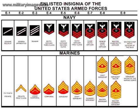 Navy enlisted ranks, Navy ranks, Navy rank insignia