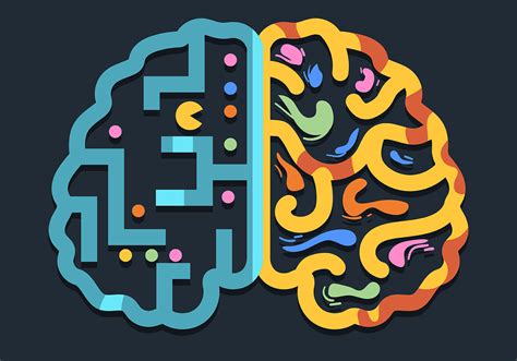 Human Brain Hemisphere Left and Right 527778 Vector Art at Vecteezy