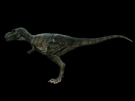 Gorgosaurus - urzeittiere.net