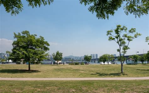 Yeouido Hangang Park - The Seoul Guide