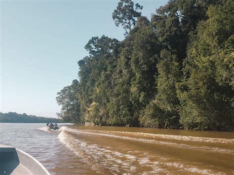 A Kinabatangan River Cruise On A Backpackers Budget | acouplescalling