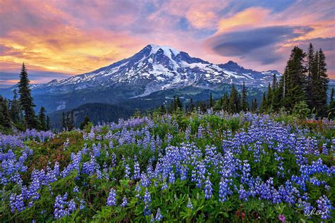 Washington State Nature and Landscape Photography | Fine Art Prints By Aaron Reed