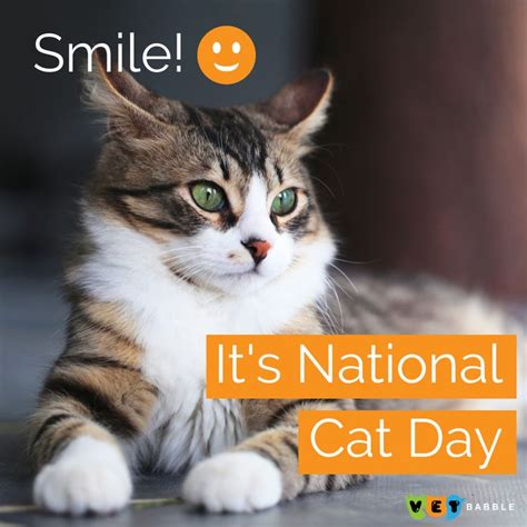 Happy National Cat Day! We hope that you and your felines have a purrfect day 🐈😻 #NationalCatDay ...