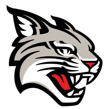 2024 Davidson Wildcats Football Schedule and Scores | FOX Sports