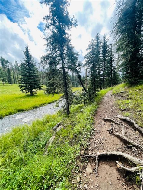 If you hike only one trail in the White Mountains of Arizona, make it ...