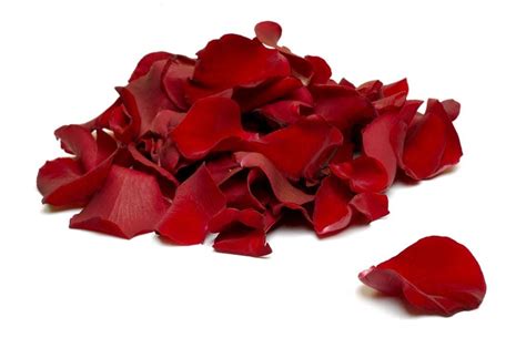 Red Rose Petals On Bed