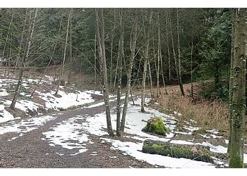 3 Best Hiking Trails in Chilliwack, BC - ThreeBestRated