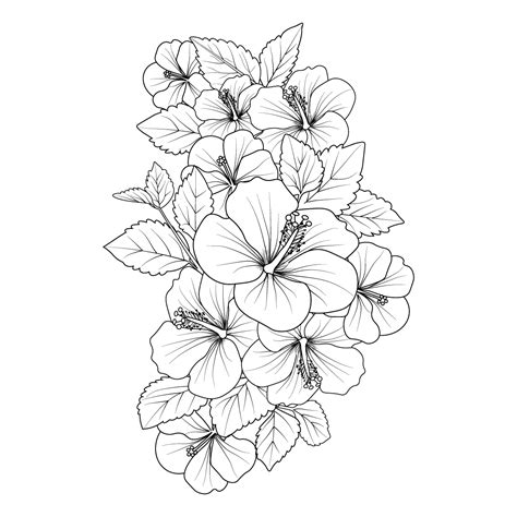 vector hibiscus flower. hibiscus flower drawing easy, sketch easy hibiscus flower drawing, easy ...