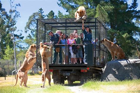 Orana Wildlife Park in Christchurch