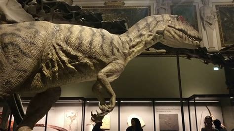 Dinosaur hall at Natural History Museum of Vienna - YouTube