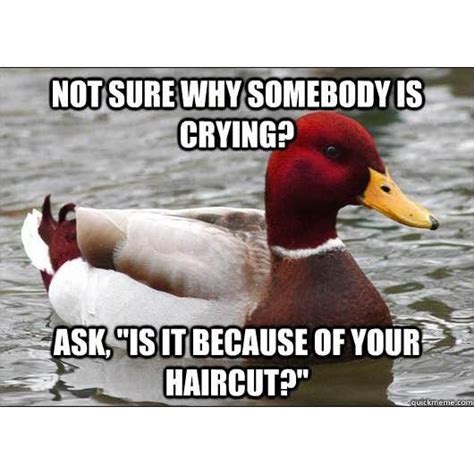 Really Funny Memes: Malicious Advice Mallard