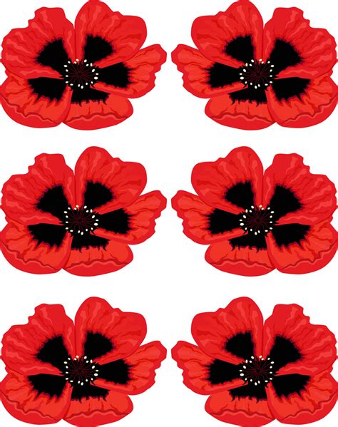 Poppy Clip Art - Cliparts.co