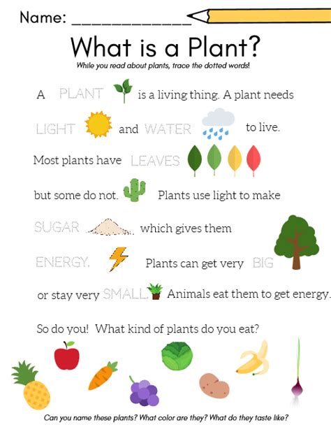 FREE Plants Worksheets for Preschool (5 pages) | Plant lessons, Plants worksheets, Plants ...