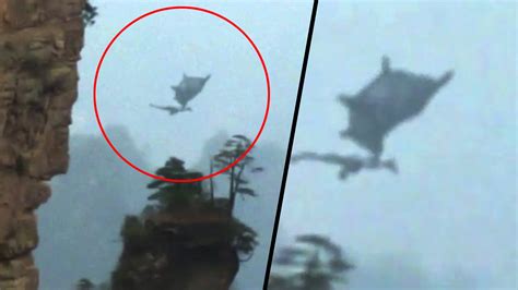 MYSTERIOUS FLYING DRAGON FILMED FROM CHINA | IS THAT REAL DRAGON? | REAL ALIEN CAUGHT ON CAMERA ...