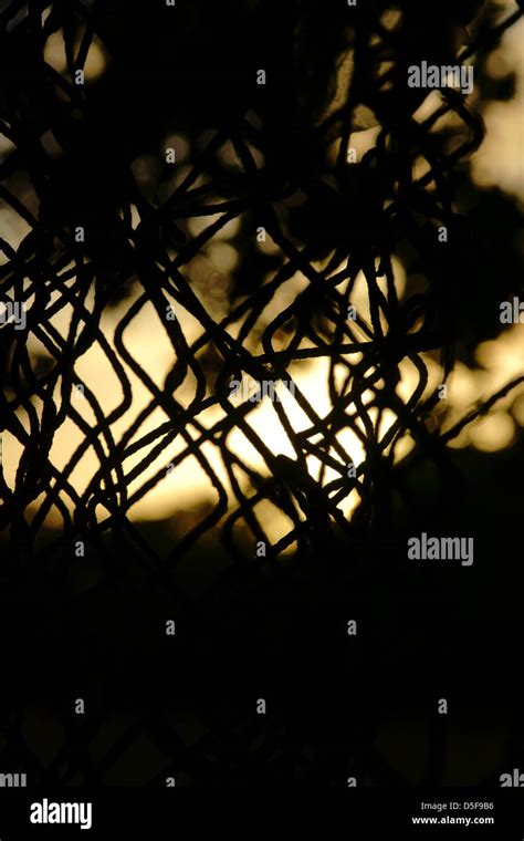 clouds grass field trees blue country side sunrise Stock Photo - Alamy