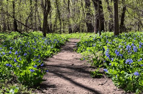 11 Best Scenic + Historical Harpers Ferry Hiking Trails (2023)