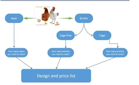 large span automatic poultry farm design for broiler chicken-Lida Group