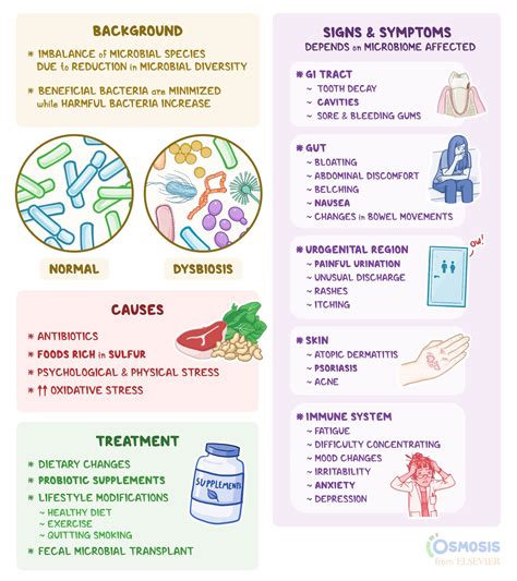 Dysbiosis: What Is It, Causes, and More