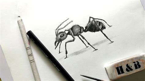 Ant Drawing | Hyper Realistic Drawing | Pencil Drawing | Drawing | 28th ...