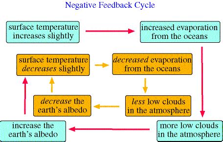 Negative Feedback Mechanisms in climate change