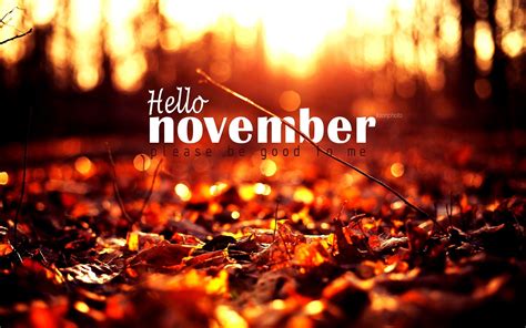 🔥 Free Download Hello November Computer Wallpaper Top by @maxwellm ...