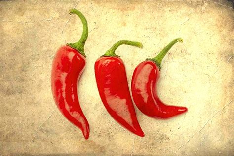 What is Indian Red Chilli and how to use it? | Krazy Butterfly