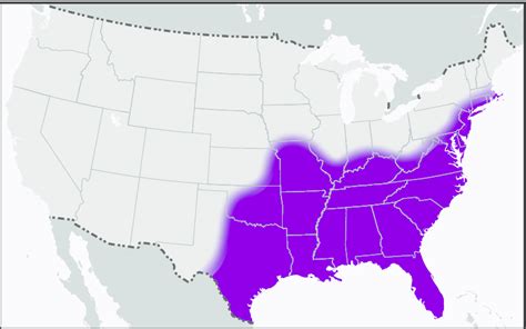 Approximate U.S. distribution of Amblyomma americanum (lone star tick ...