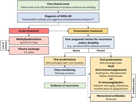 Neurological update: MOG antibody disease | SpringerLink