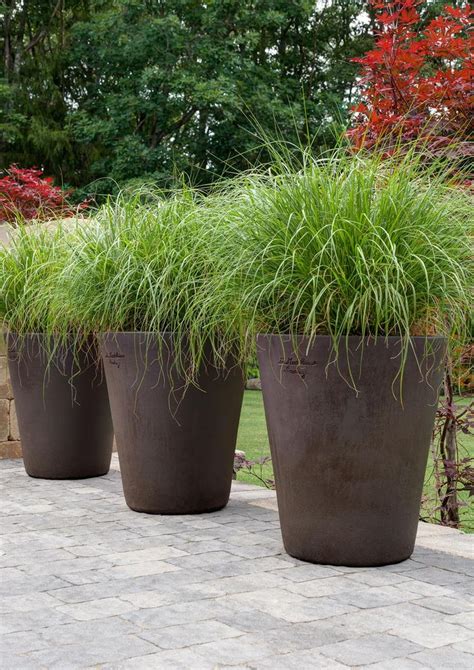 Ornamental grasses in Poterie de la Madeleine. Garden design: Winston Flowers. Photo credit ...