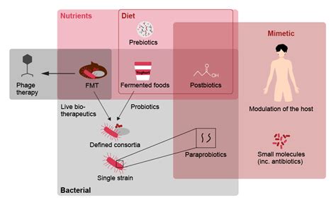 Commercial impact of microbiome therapeutics | Strategy&