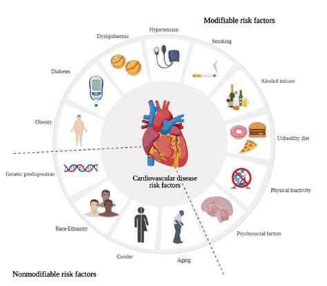 Understanding Anatomophysiology and Cardiovascular Diseases