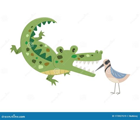 Bird Cleans Crocodile Teeth Stock Vector - Illustration of cute, jungle: 173927519