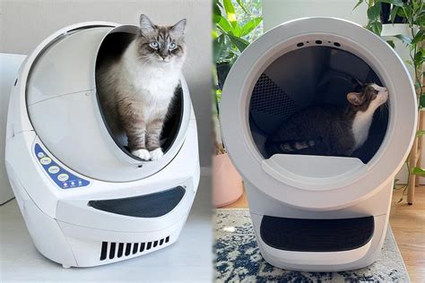 Litter-Robot 4 vs 3: 2024 Full Guide - CatPeek