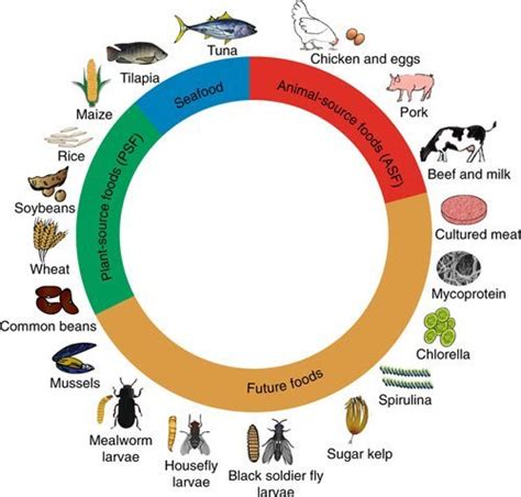 ‘Future foods’ could make our diets more nutritious and sustainable