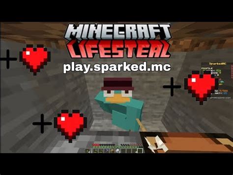 NEW MINECRAFT LIFESTEAL SERVER! - YouTube