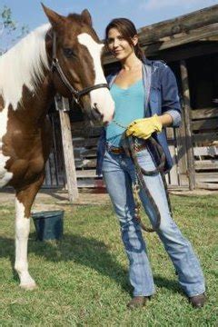 Difference Between a Tobiano & an Overo | Animals - mom.me