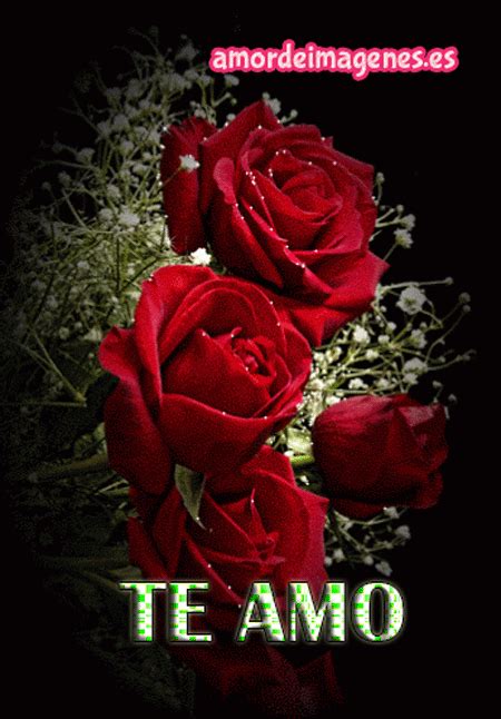 Rosas Animadas Con Frases De Amor