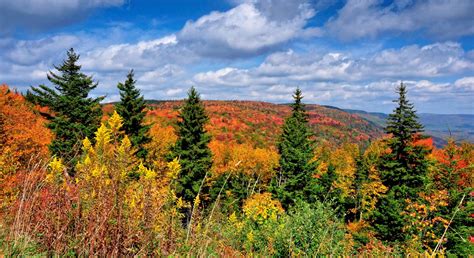 Discover West Virginia: Where to Go for Early Autumn Color in WV