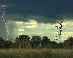 African thunderstorm | African safari, African, Landscape