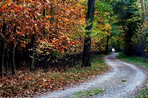 autumn, trail, trees Wallpaper, HD Nature 4K Wallpapers, Images and Background - Wallpapers Den