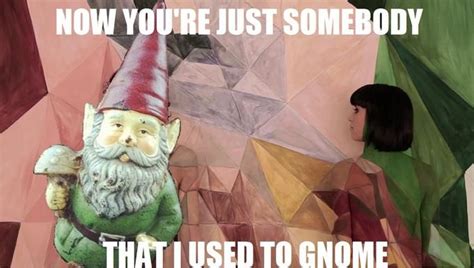 Somebody that I used to gnome (With images) | Gnomes, Birthday meme, Memes