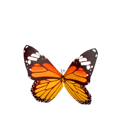 Monarch Butterfly Pink Sticker by Demi Lovato for iOS & Android | GIPHY | Giphy, Demi lovato, Lovato