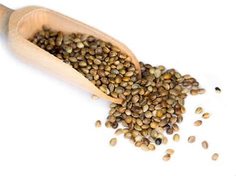 Organic Toasted Hemp Seeds in Bulk at Rs 599/kg | Hemp Seeds in ...