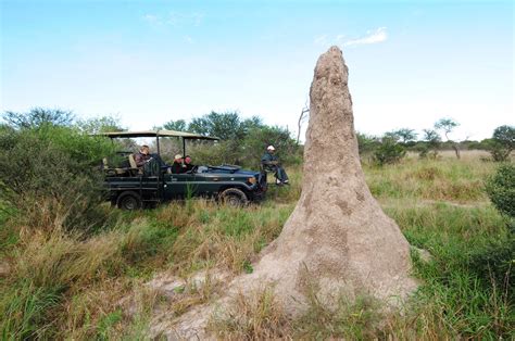 Deception Valley Lodge | Central Kalahari | Botswana Expert Africa